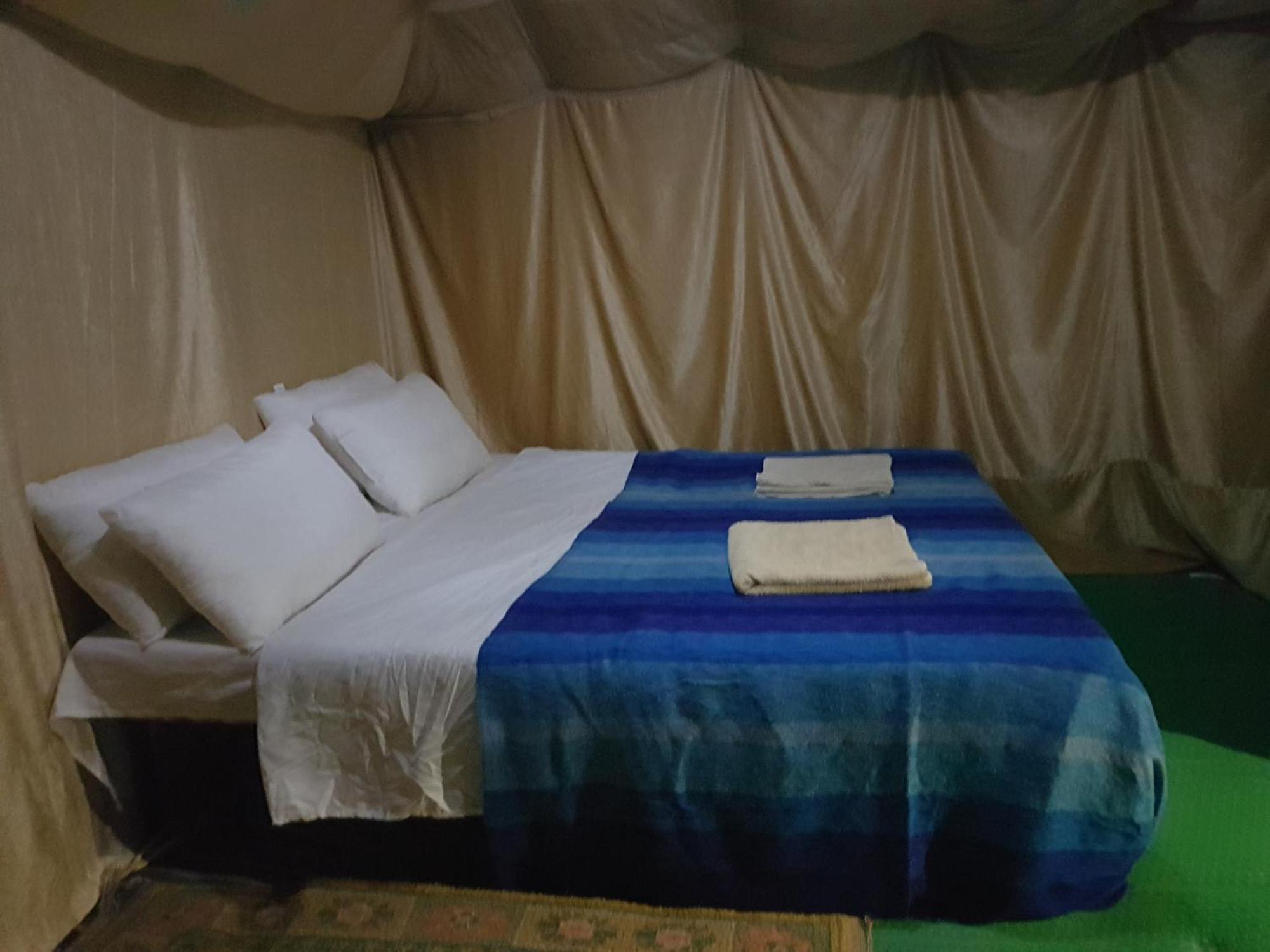 Dune Merzouga Camp 部屋 写真
